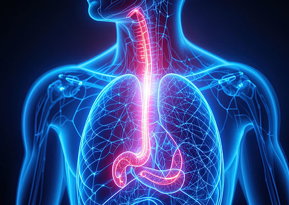 Eozynofilowe zapalenie przełyku – opis przypadku - Gastroenterologia ...
